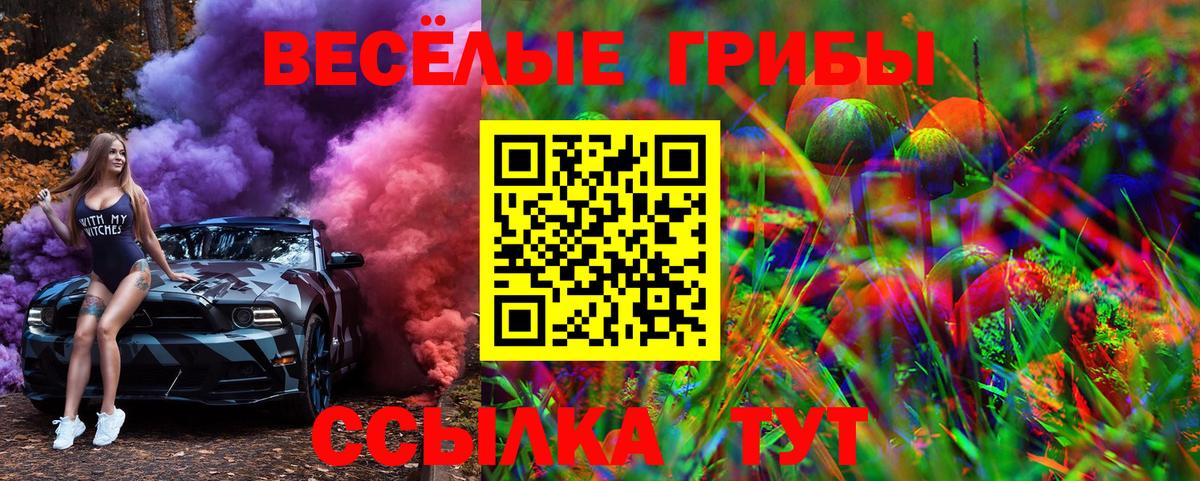Шахты  Псилоцибиновые грибы ЛСД  Вход с VPN  Псилоцибиновые грибы Psilocybe 